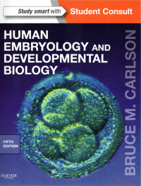 Image of HUMAN EMBRYOLOGY AND DEVELOPMENTAL BIOLOGY. 6TH EDITION