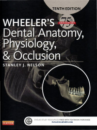 Image of WHEELER'S DENTAL ANATOMY PHYSIOLOGY & OCCLUSION. 10TH EDITION